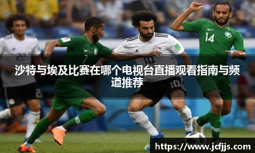 沙特与埃及比赛在哪个电视台直播观看指南与频道推荐